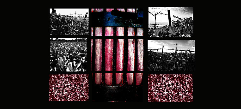 Red Art Cabernet Sauvignon