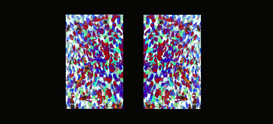 Red Art Tempranillo