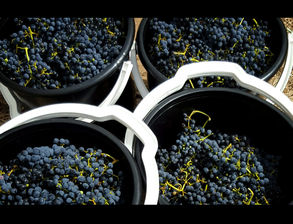 Why small and handmade is so good!  by Sam Kurtz